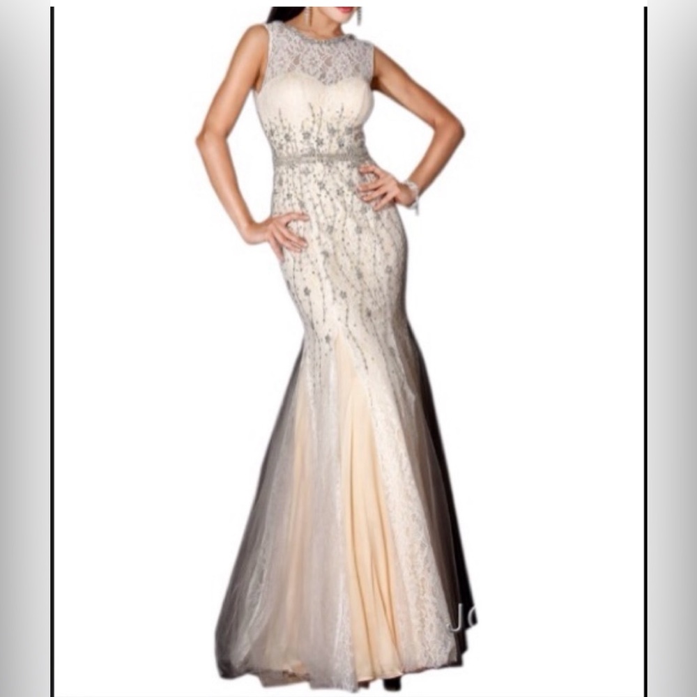 Lace mermaid dress.